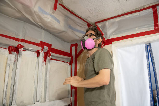 Harrisville, UT Mold Removal Company